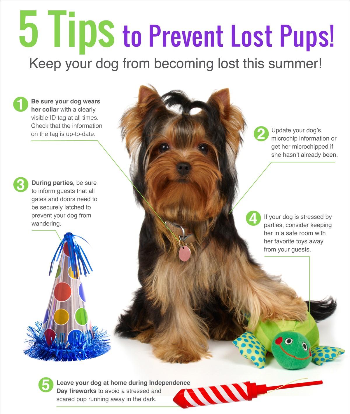 tips 1