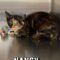 Nancy