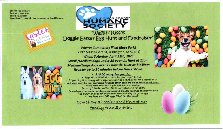 Doggie Easter egg hunt 2026