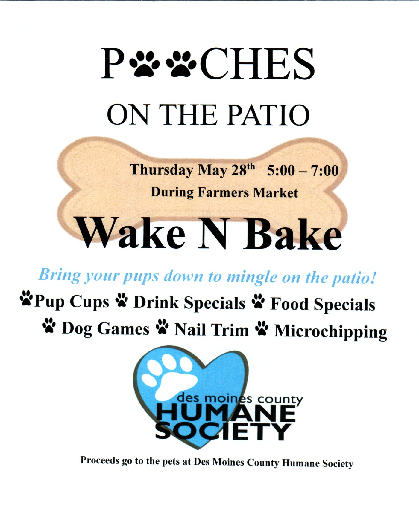 Pooches on the patio 2026