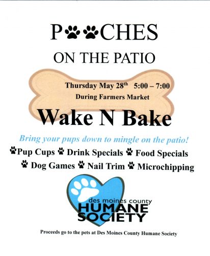 Pooches on the patio 2026