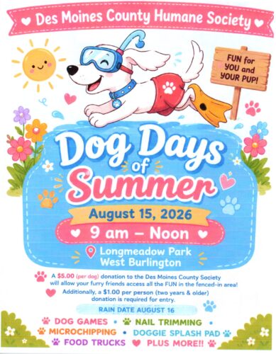 Dog days of Summer 2026