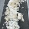 Ted E. Bear
