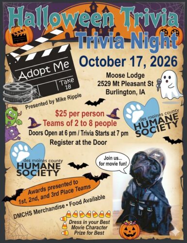 Trivia 10172026